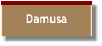 Damusa